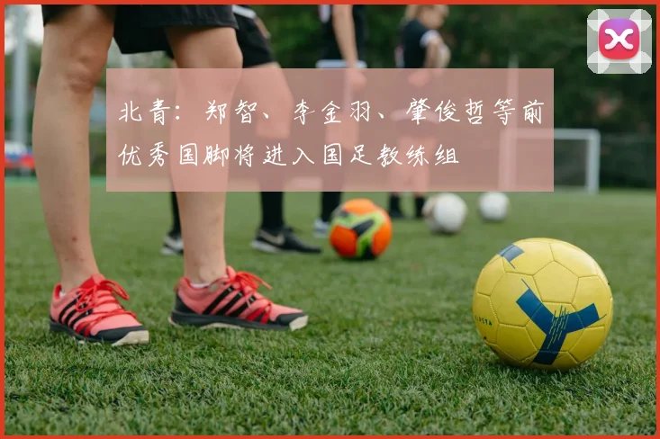 北青：郑智、李金羽、肇俊哲等前优秀国脚将进入国足教练组