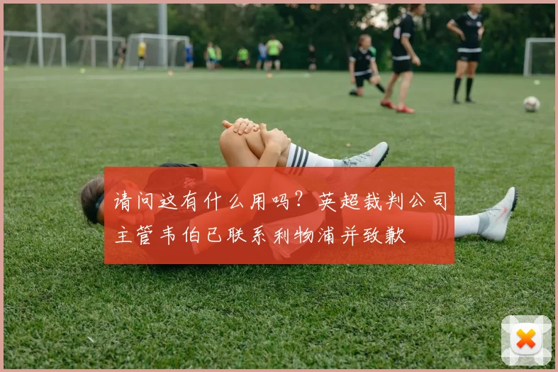 请问这有什么用吗？英超裁判公司主管韦伯已联系利物浦并致歉