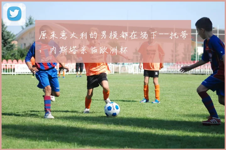 原来意大利的男模都在场下--托蒂，内斯塔亲临欧洲杯