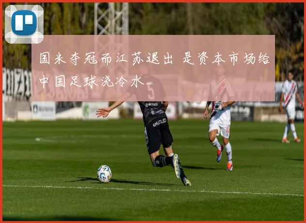 国米夺冠而江苏退出 是资本市场给中国足球浇冷水_