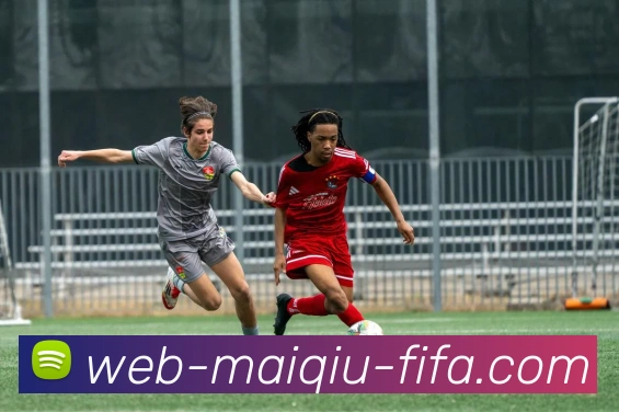 世界杯买球网站服务体系